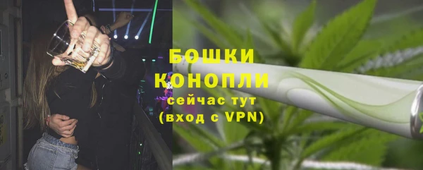 сатива Армянск