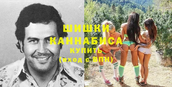 сатива Армянск