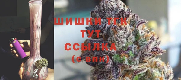 соль ск Осташков